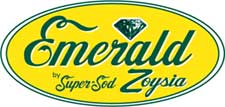 Emerald zoysia