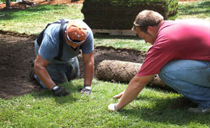 install sod raleigh