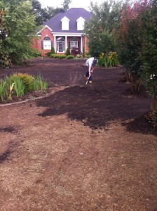 Composted Topsoil for topdressing for new Bermuda Sod in Holly Springs NC