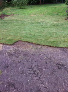 Bermuda Sod North Carolina, Holly Springs