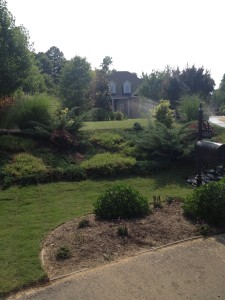 NC Sod and Mulch Bermuda Install in Holly Springs