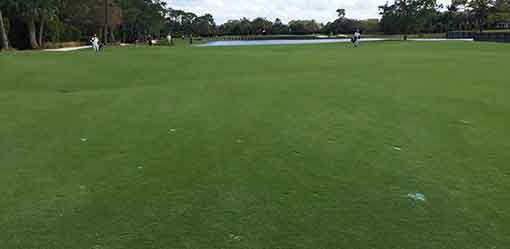 Latitude 36 BermudaGrass | NC Sod & Mulch