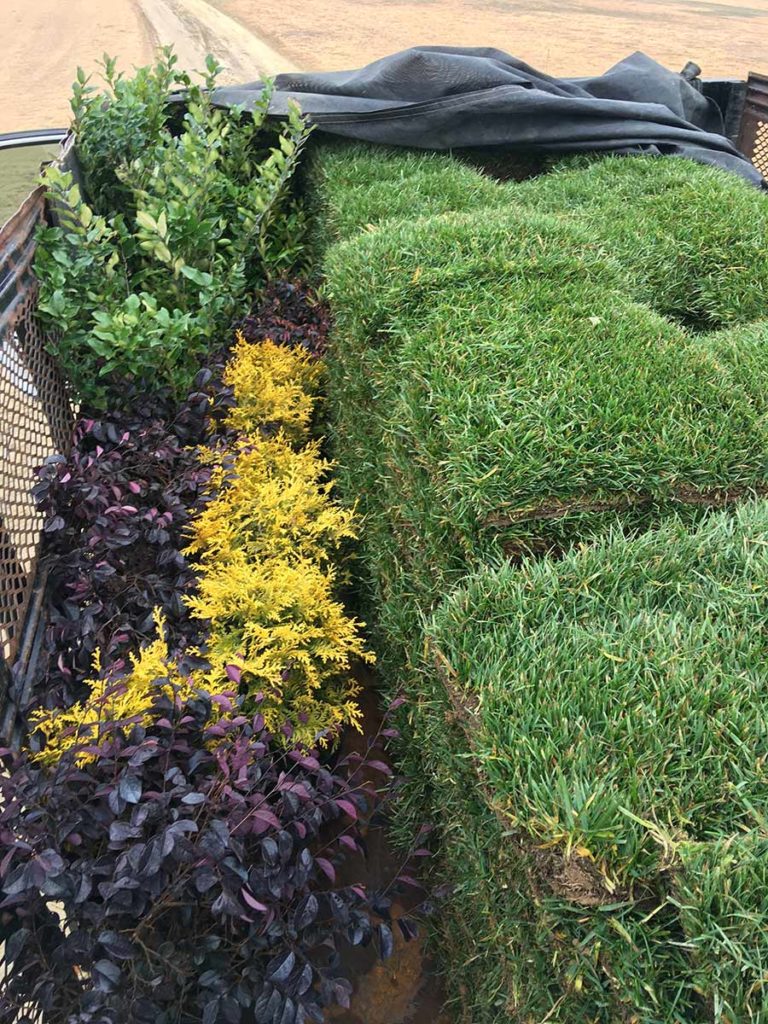 Sod Installation Angier, FuquayVarina, Holly Springs NC Sod & Mulch