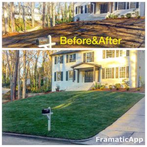 Sod installation before and after