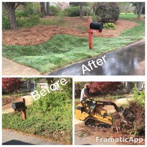 Sod installation before and after