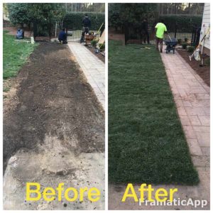 Sod installation before and after