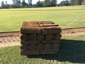 pallet of sod