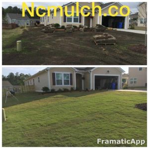 Sod installation before and after