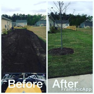 Sod installation before and after