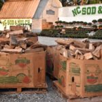 Bins of firewood on pallets with mums on shelves in the background