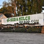 Shelves of mums sit in front of a white tractor trailer body that is lettered to say NC Sod and Mulch.